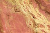 Polished Rhodonite Slab - Northern BC #112717-1